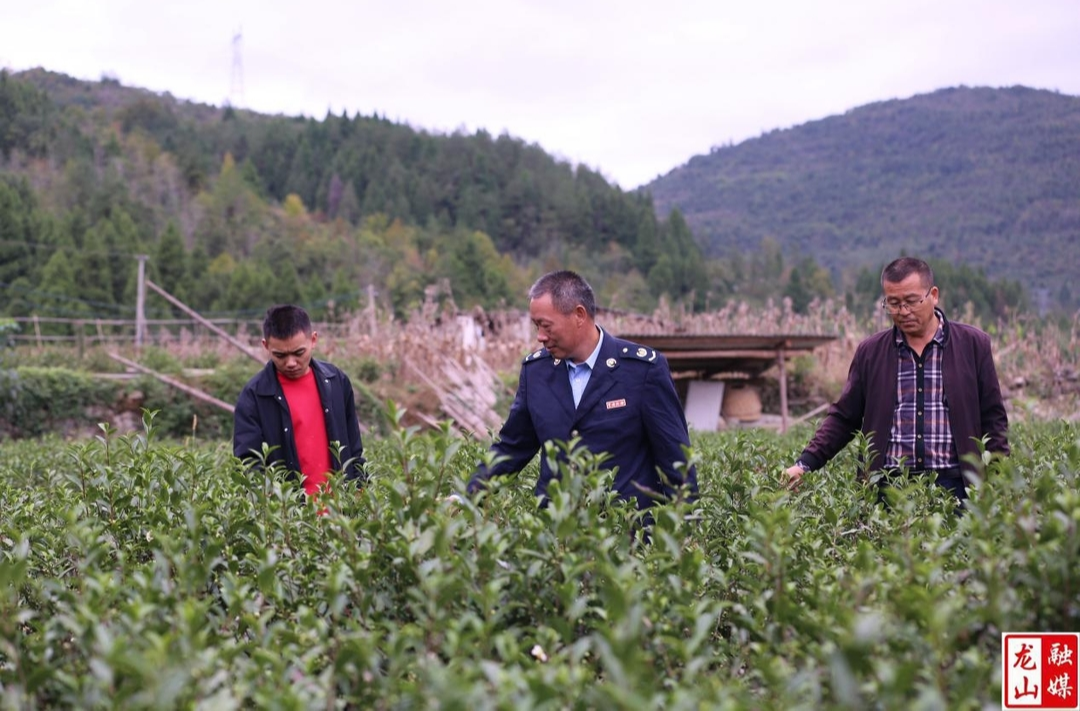 县税务局驻村工作队：用心用情助力半南村乡村振兴