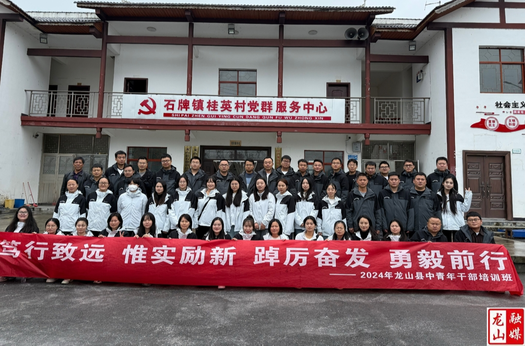 龙山县2024年中青班开展实地调研活动