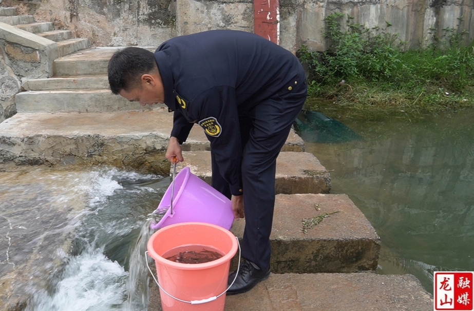 龙山开展鱼类人工增殖放流活动