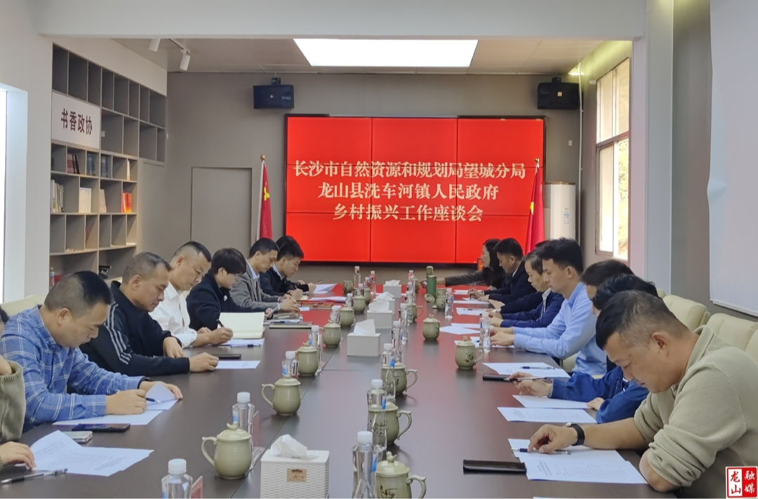 长沙市自然资源和规划局望城分局来洗车河镇开展乡村振兴交流活动