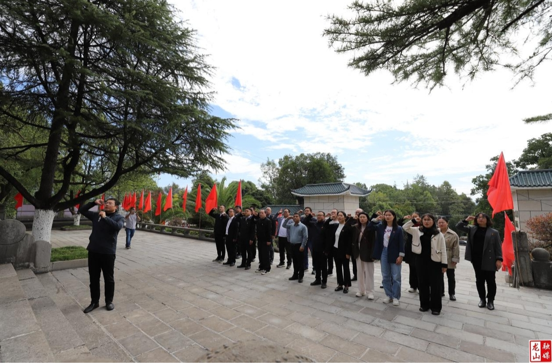 龙山县委组织部机关党支部“走读式”主题党日汲取红色力量