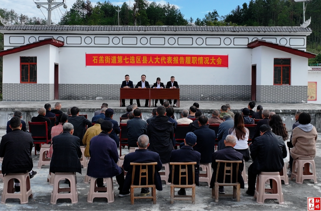 石羔街道开展县人大代表述职评议