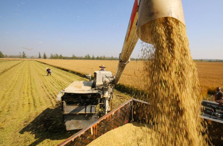 三湘时评丨“农业认养”将情绪价值转化为经济价值