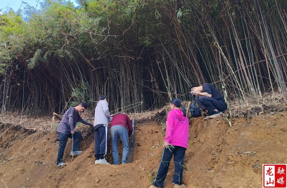龙山开展全国第三次土壤普查  推进剖面加密调查与采样工作