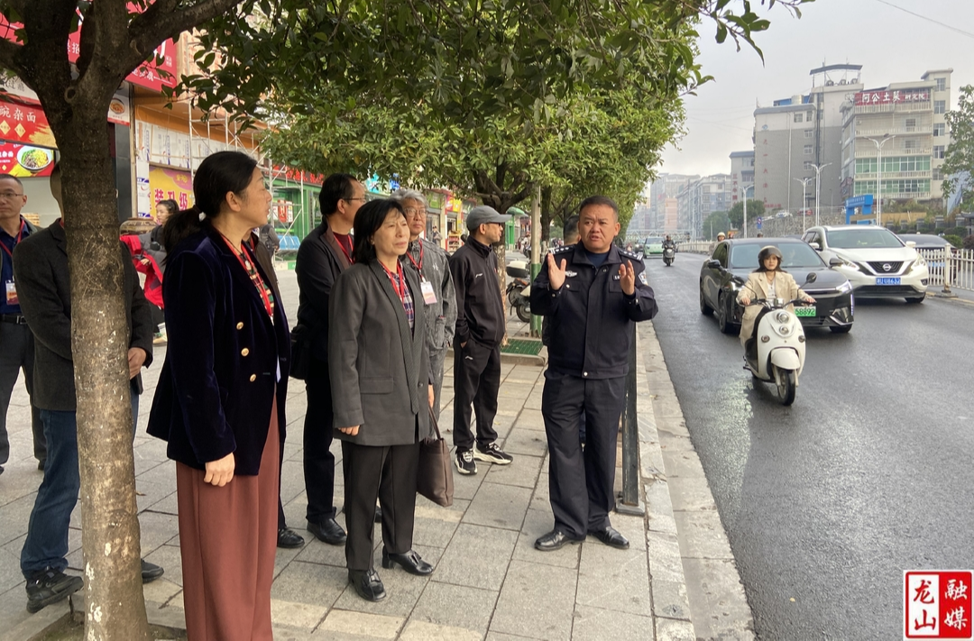 龙山县政协开展“缓解城区交通拥堵”现场调研