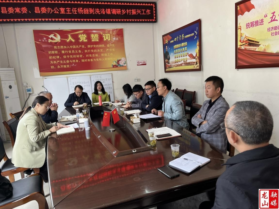 杨甜到洗洛镇调研乡村振兴工作