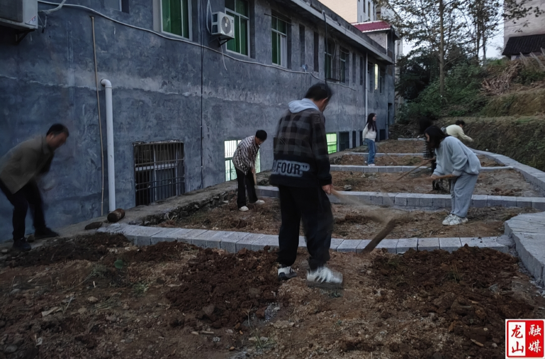 洛塔乡党员群众共建“微菜地”