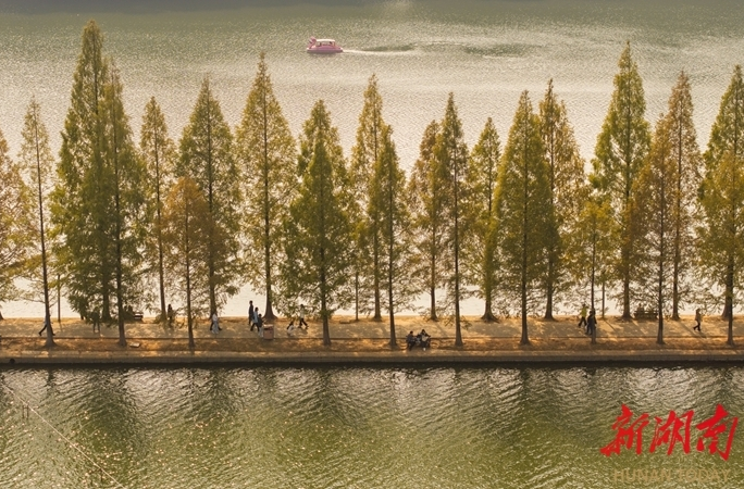三湘秋意浓