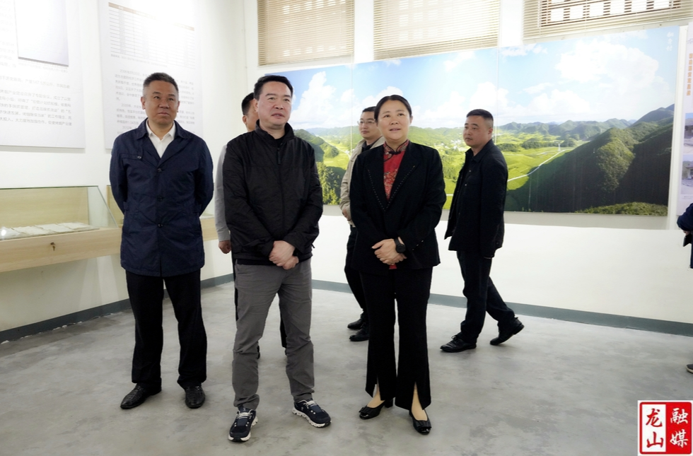 曾雄来龙山县调研乡村振兴工作