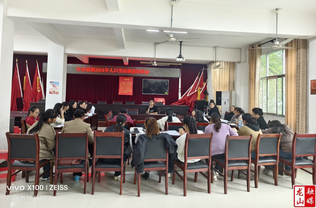 红岩溪镇开展人口变动调查培训