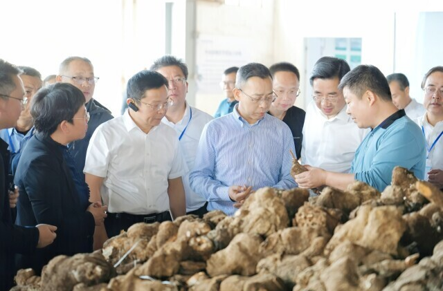 湖南林下经济年产值超600亿元