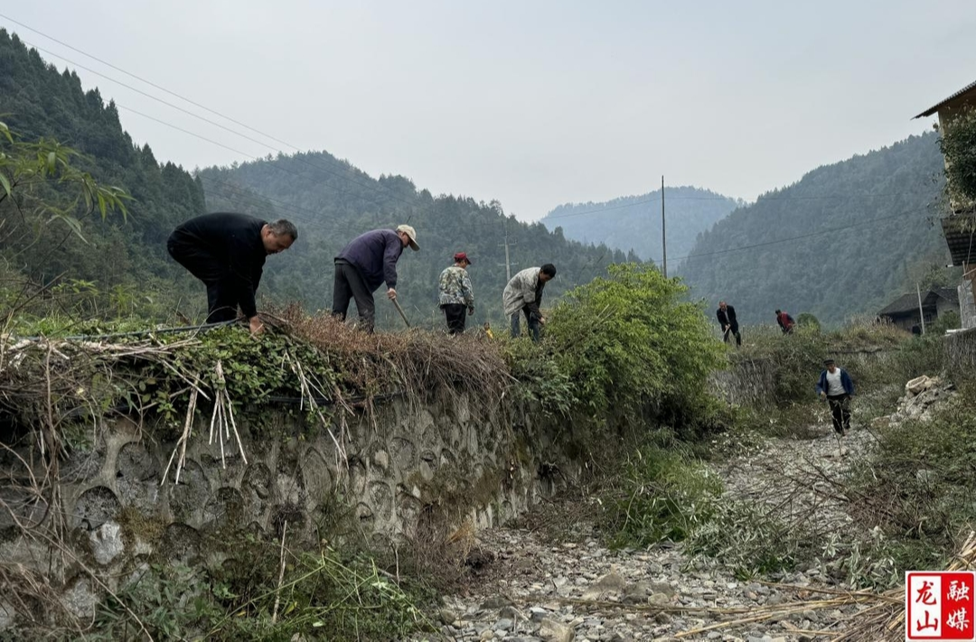干溪村党员清理水渠确保麦田灌溉
