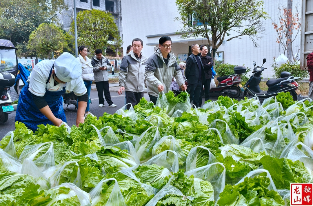 爱心传递： 四姊妹铁板烧店捐赠两万斤高山大白菜助力学生营养餐