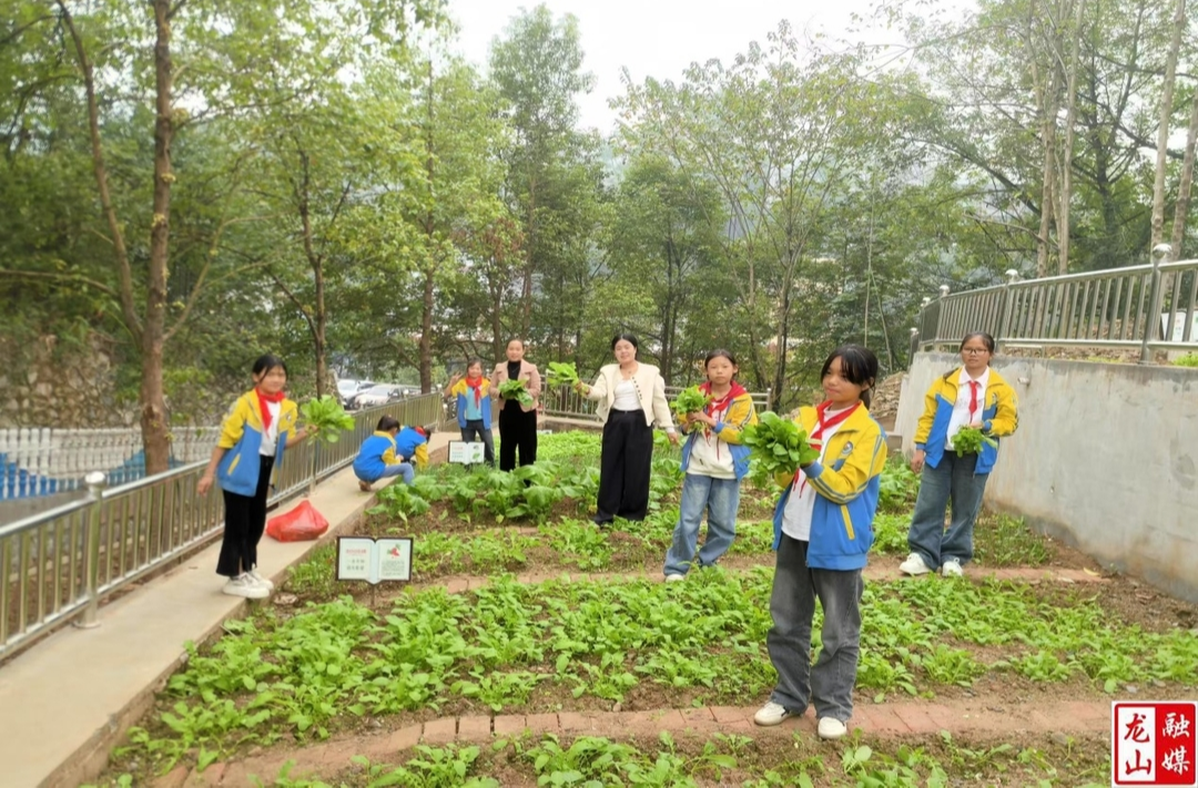龙山三小“励耕园”硕果累累