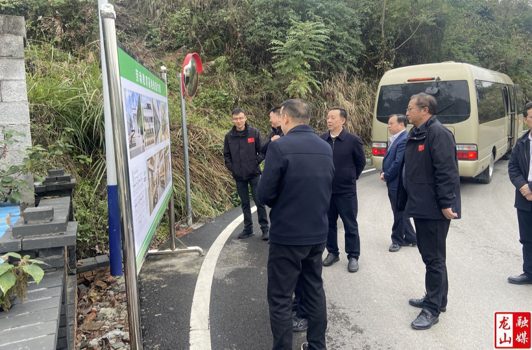 省教育厅副厅长孙传贵来龙山调研村振兴工作