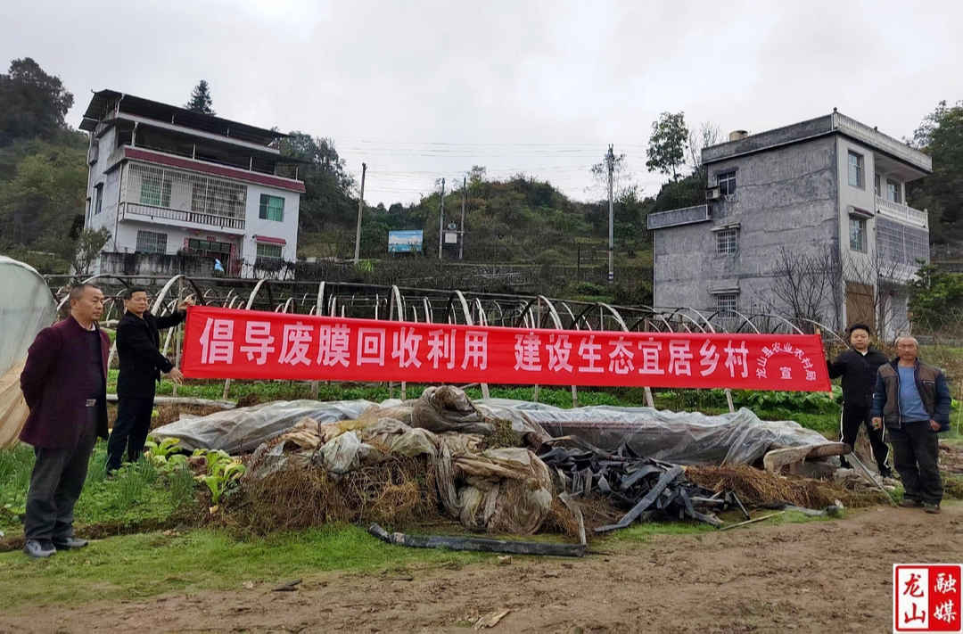 利剑行动：回收清理农膜 为农田“清肺排毒”（图）