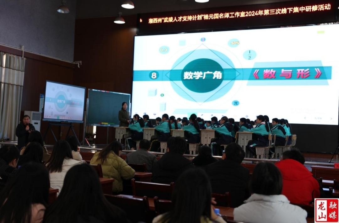 湘西州“武陵人才支持计划”杨元国名师工作室送教龙山