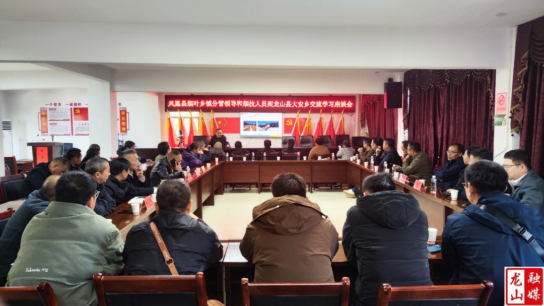 凤凰县烟叶专家组来大安乡考察学习