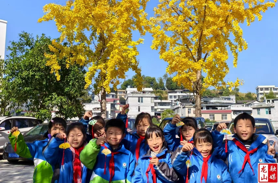 县第六小学校园银杏叶变身艺术品