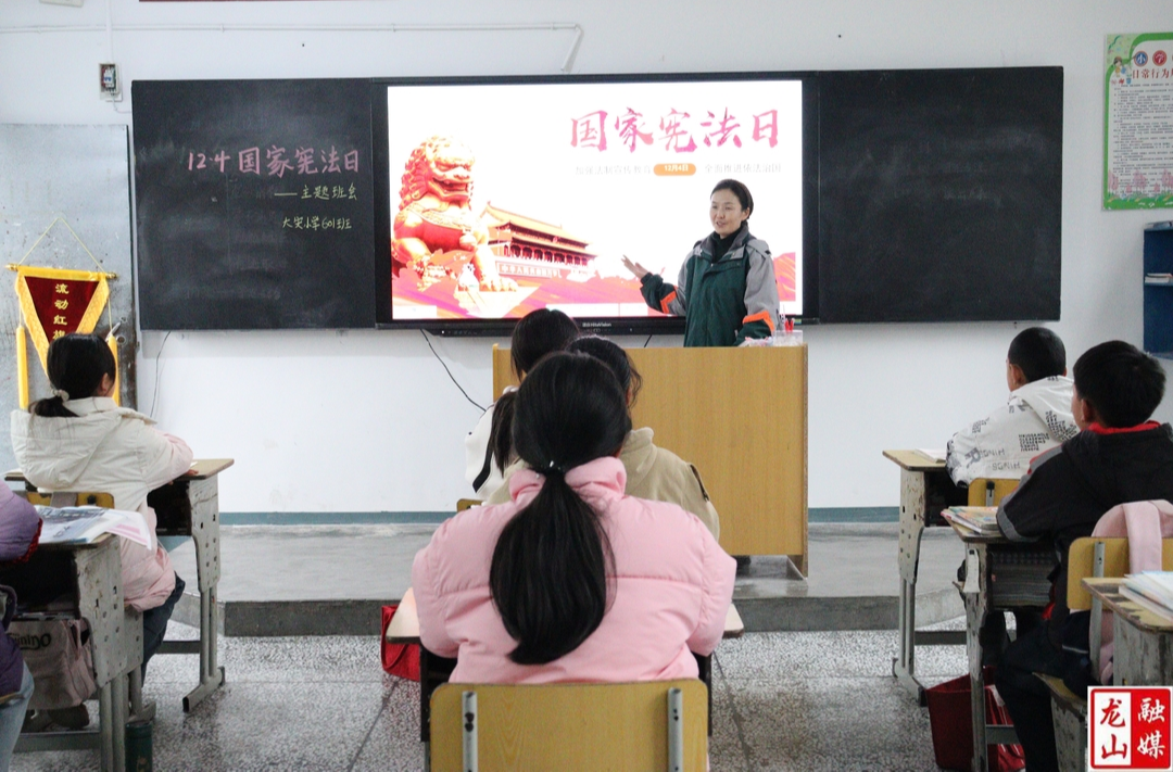 大安小学开展“12·4国家宪法日”宣传活动