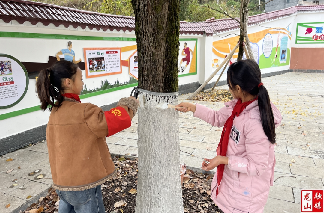 红岩溪镇中心小学开展树木刷白志愿服务活动