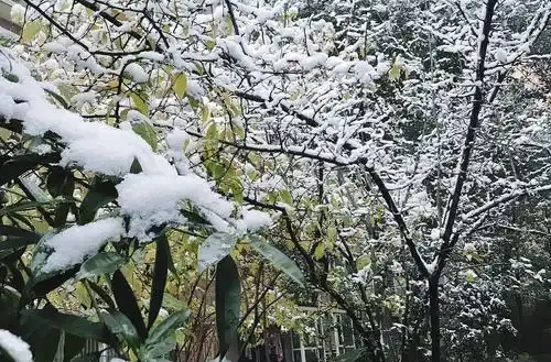 多地迎初雪 冷空气上演“车轮战” 全国气温连连下跌
