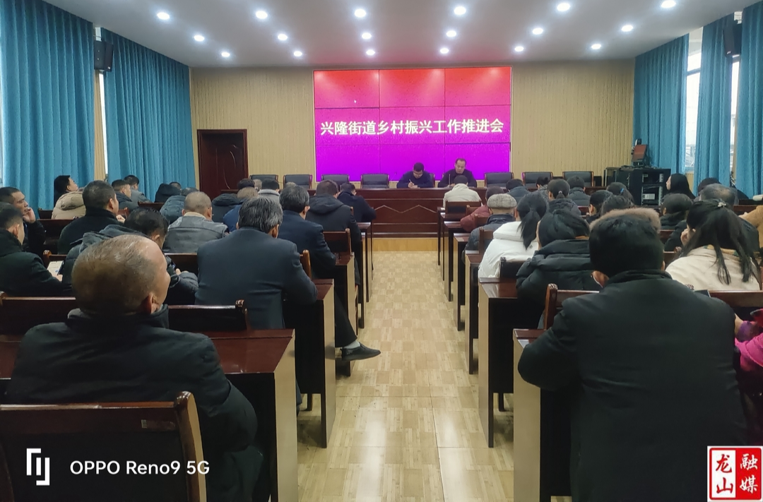 兴隆街道召开乡村振兴工作推进会
