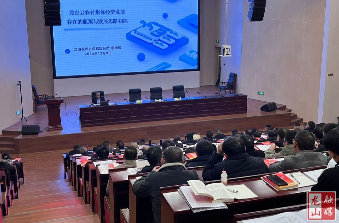 龙山县农经站对第二轮土地延包试点工作进行培训