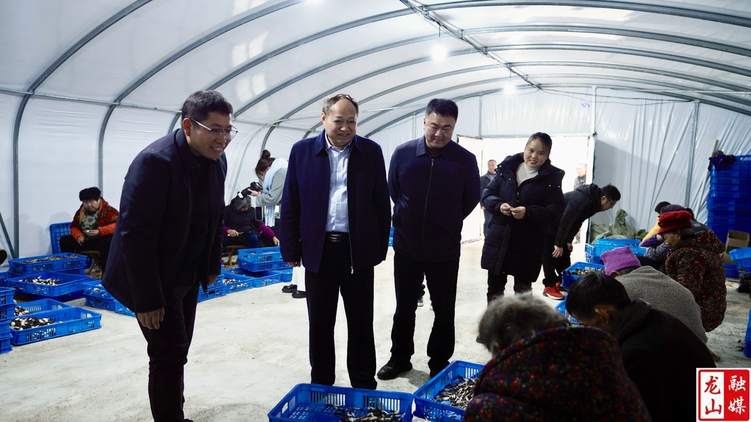 湖南大众传媒职业技术学院党委书记李三福来县调研