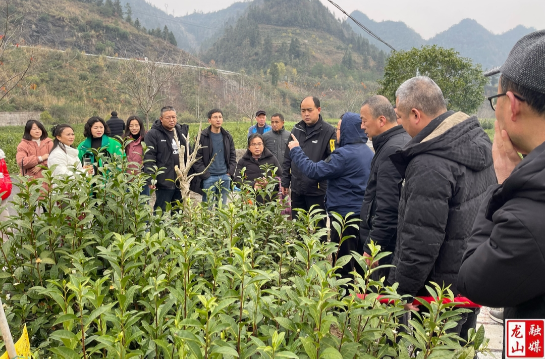 县农机事务中心：技润乡土沃野兴农 素养擢升耕耘新程