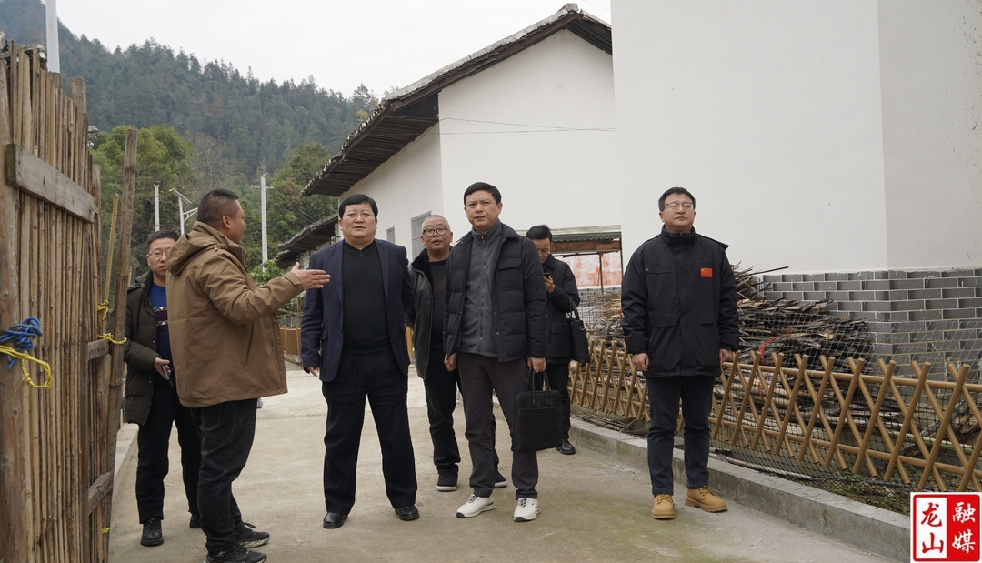 黎新松到洛塔乡调研乡村振兴工作