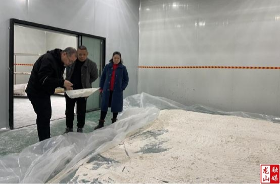 县财政局深入帮扶村调研村集体经济