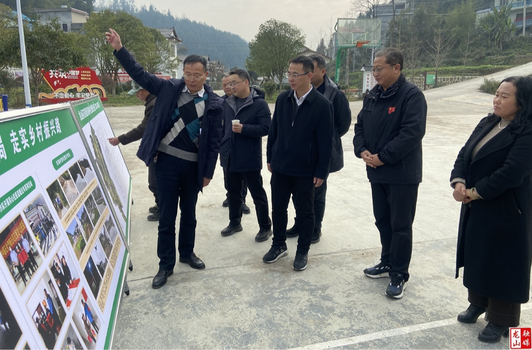 中石化湖南石油分公司总经理檀飞到石羔街道川洞村调研乡村振兴工作