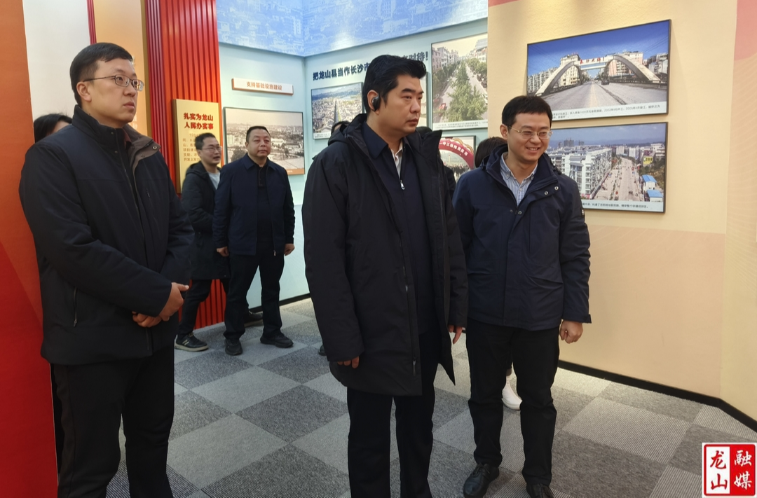 湘江集团董事长张利刚一行到龙山县调研乡村振兴工作