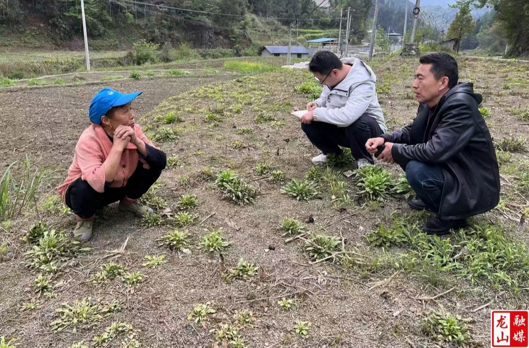 县财政局到联系村开展医保及救助政策宣讲活动