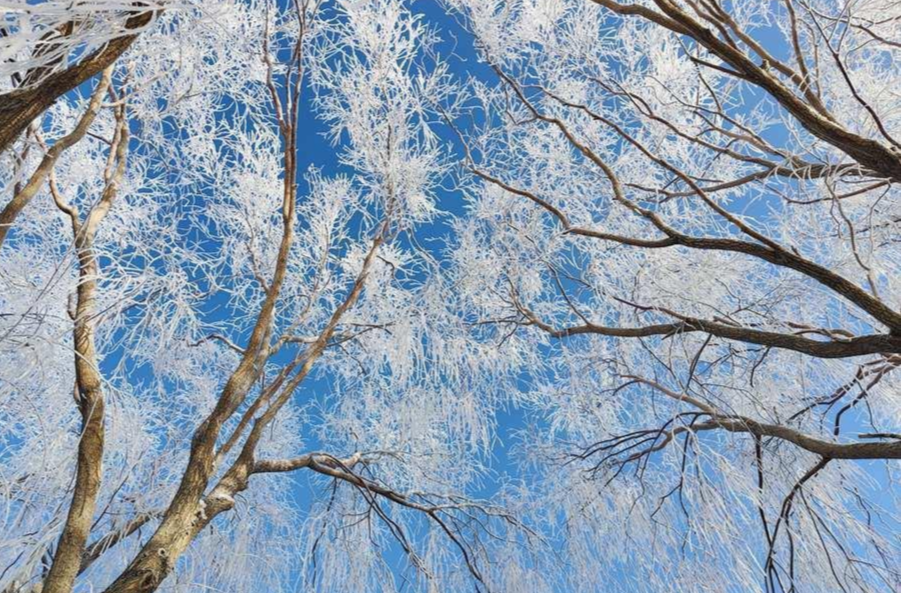 我国多地降水稀少气温偏暖 新疆北部降雪仍频繁