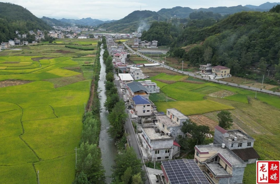 舞动乡村振兴“龙头”——中国电信湖南公司驻村帮扶桂英村工作纪实