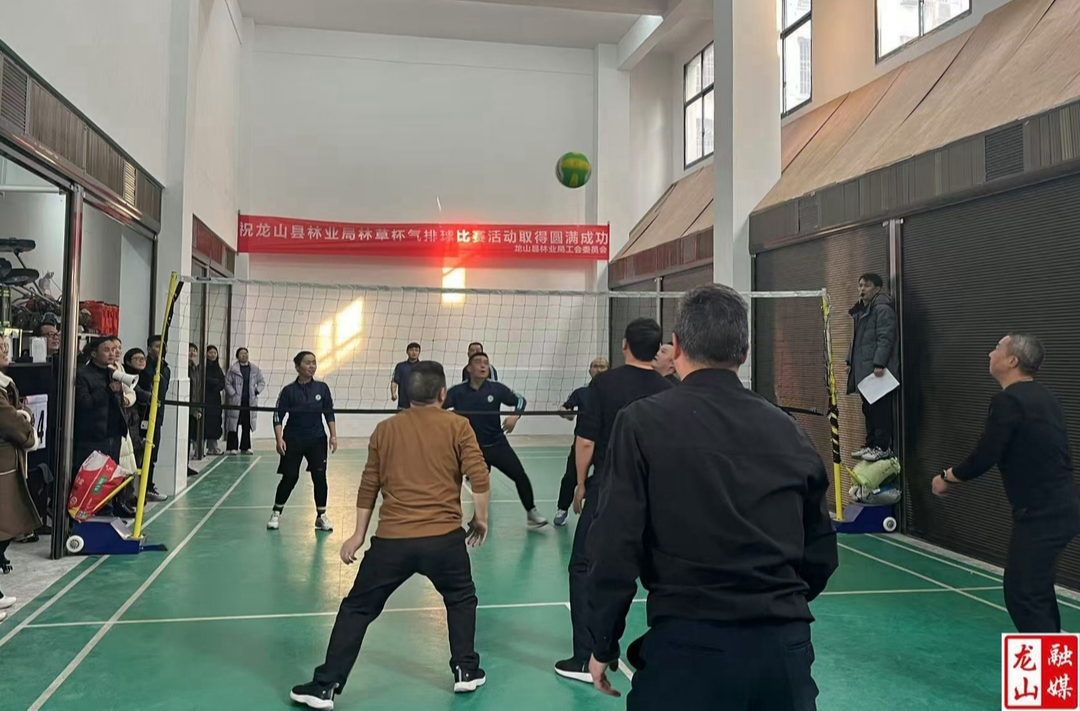县林业局开展庆元旦“林草杯”气排球比赛