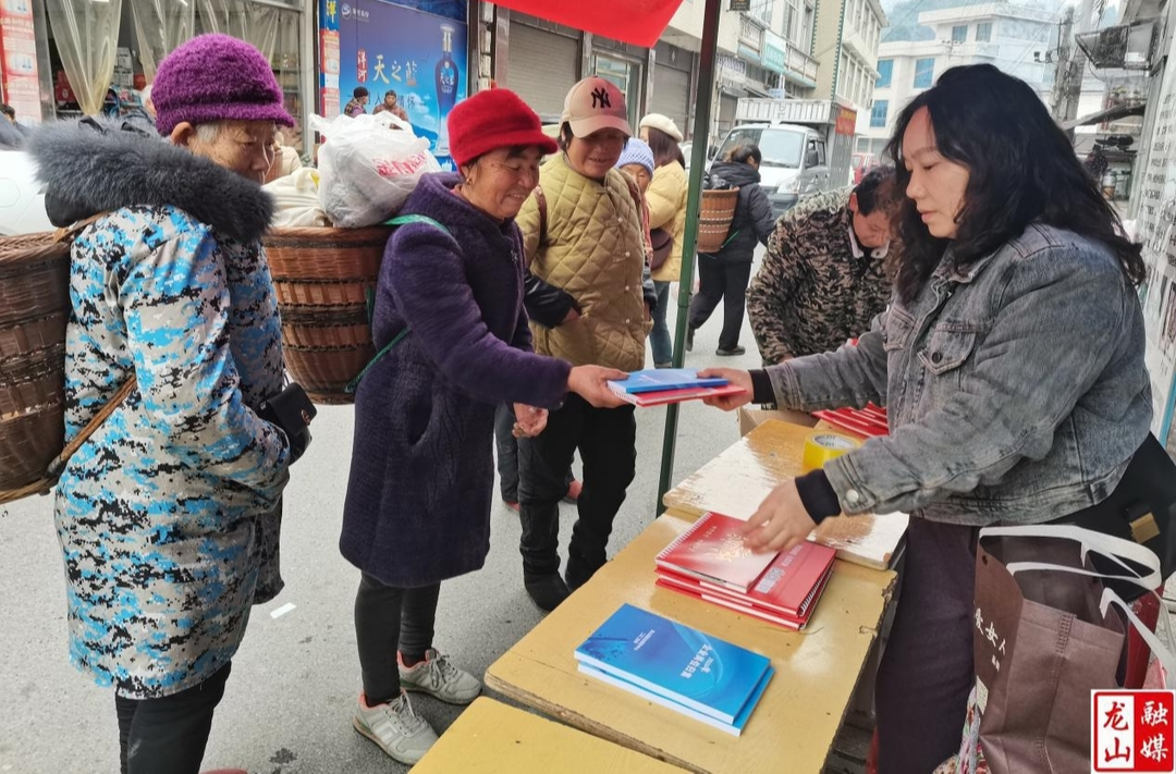 龙山县开展2025年首场“百镇百场”专场招聘会