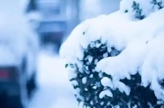 冷空气姗姗来迟 今年是否暖冬？专家分析来了