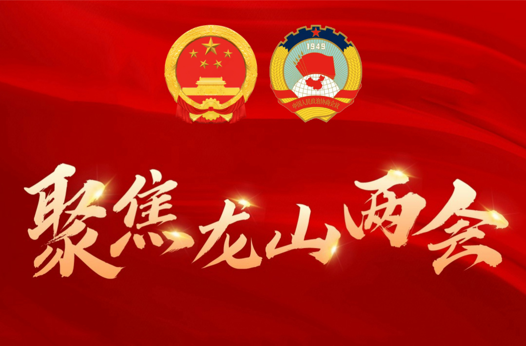 聚焦龙山县两会