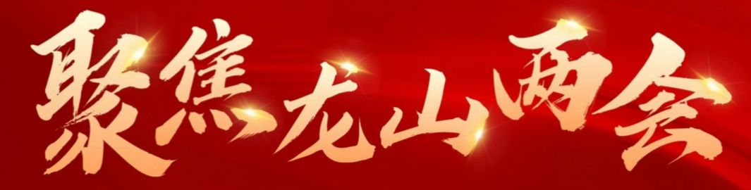 聚焦龙山县两会