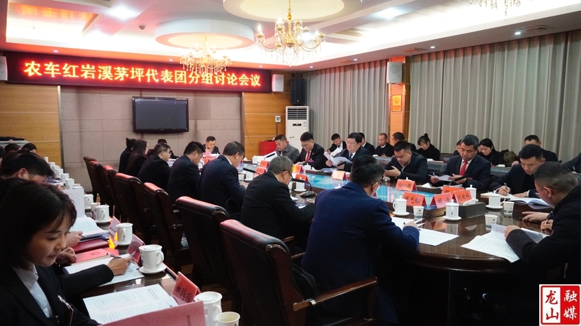 【聚焦两会】农车、红岩溪、茅坪代表团分组讨论会议召开