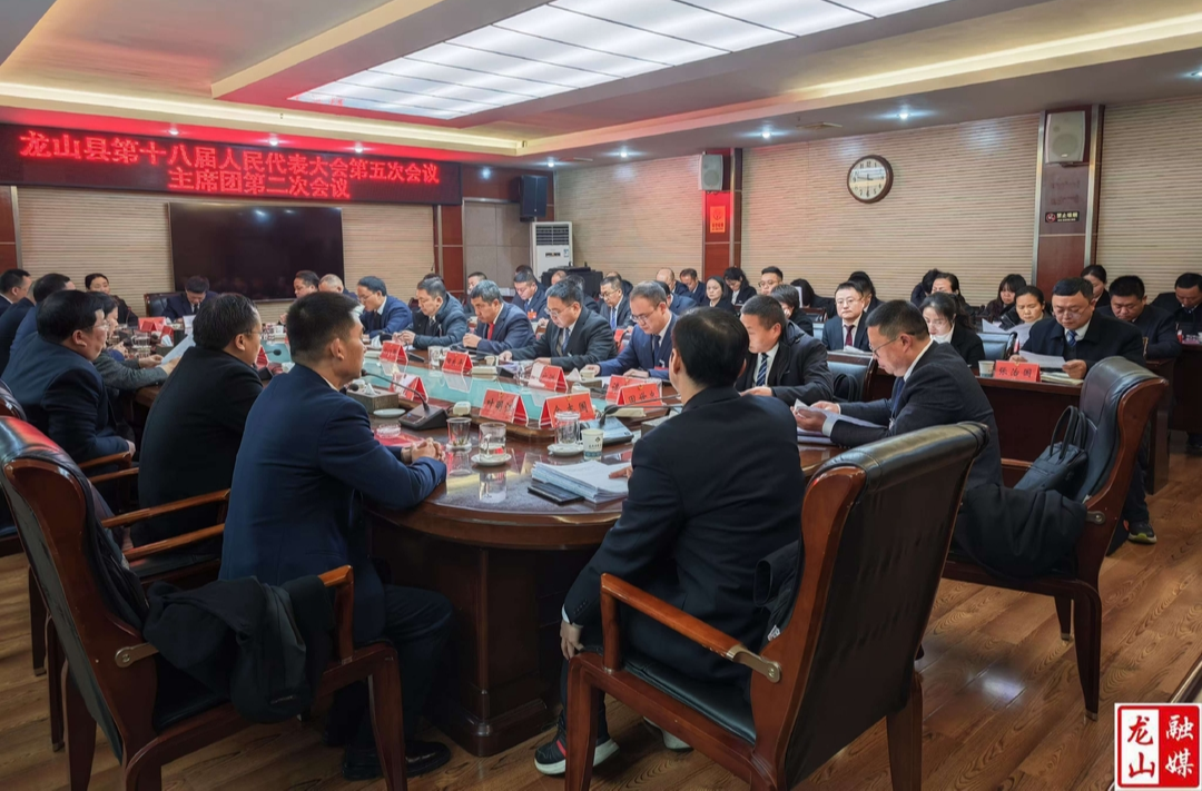 【聚焦两会】龙山县第十八届人民代表大会第五次会议召开主席团第二次会议