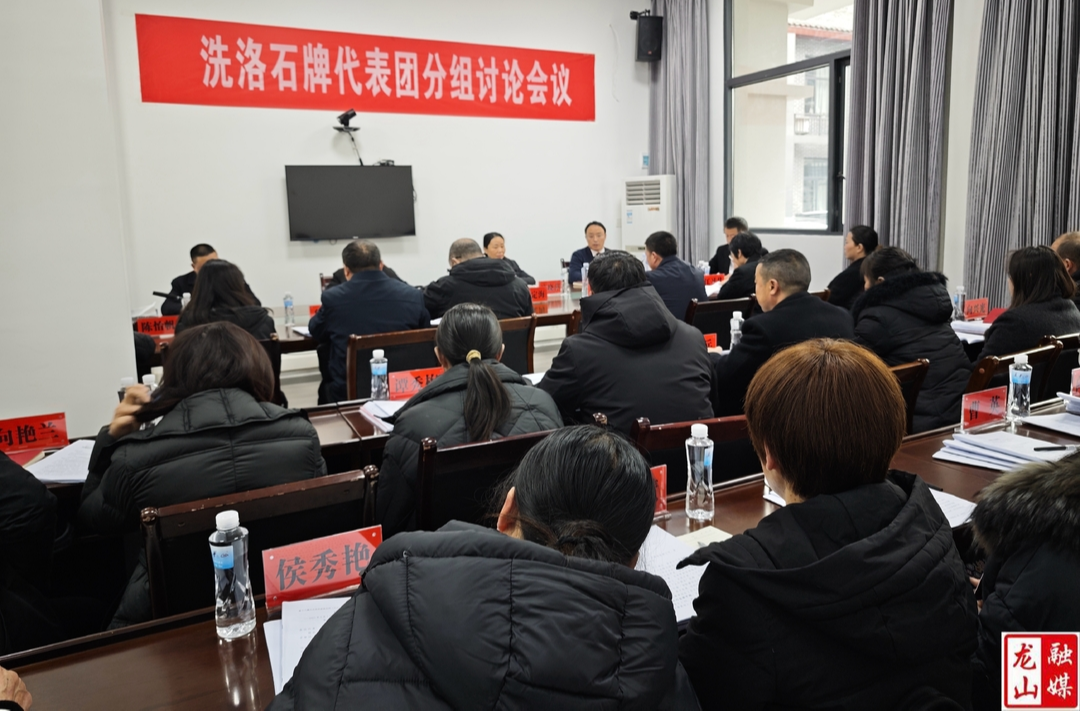 【聚焦两会】洗洛、石牌代表团分组讨论会议召开