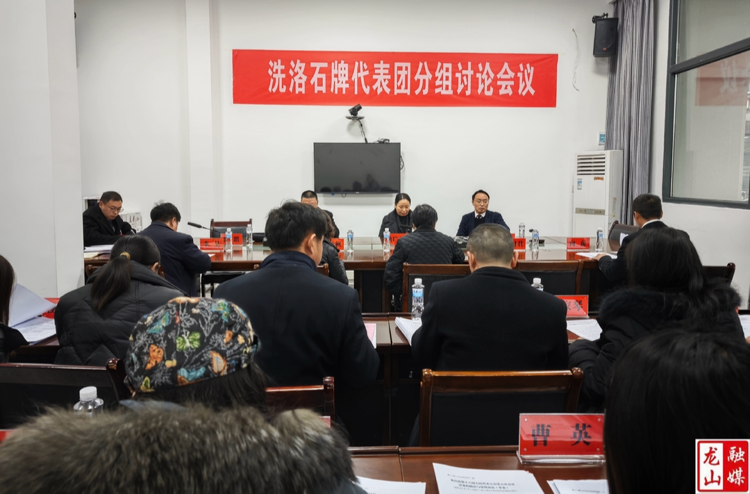 【聚焦两会】洗洛、石牌代表团分组讨论会议召开
