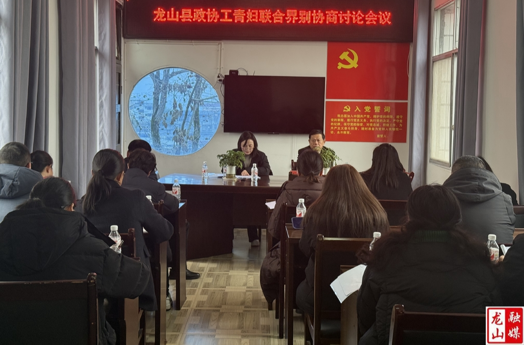 【聚焦两会】政协龙山县第十届委员会第四次会议工青妇联合界别开展协商讨论