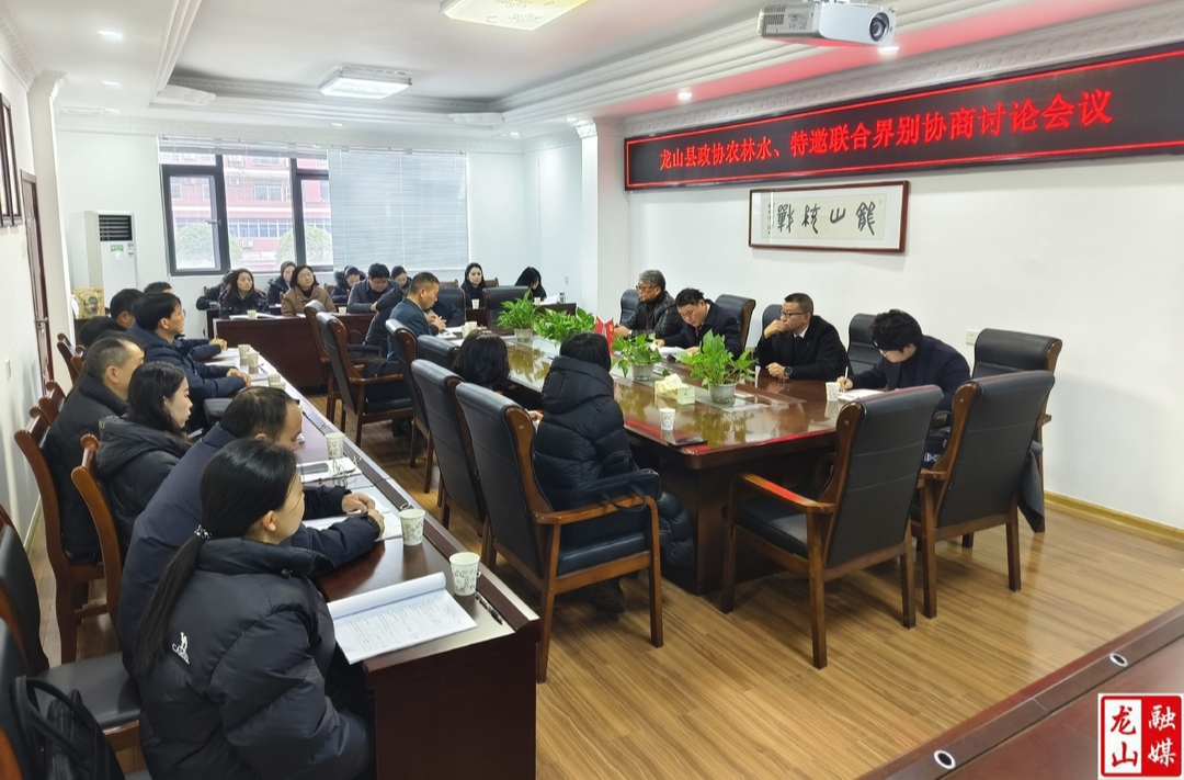 【聚焦两会】政协龙山县第十届委员会第四次会议农林水、特邀联合界别开展协商讨论