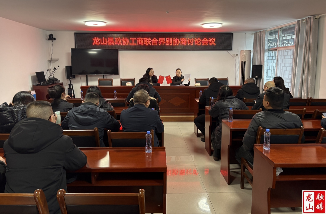 【聚焦两会】政协龙山县第十届委员会第四次会议工商联界别开展协商讨论