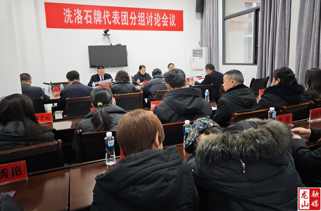 【聚焦两会】龙山县第十八届人民代表大会第五次会议洗洛、石牌代表团分组讨论会议召开